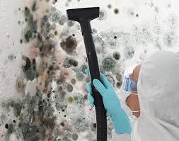 Best Biohazard Mold Removal  in El Macero, CA